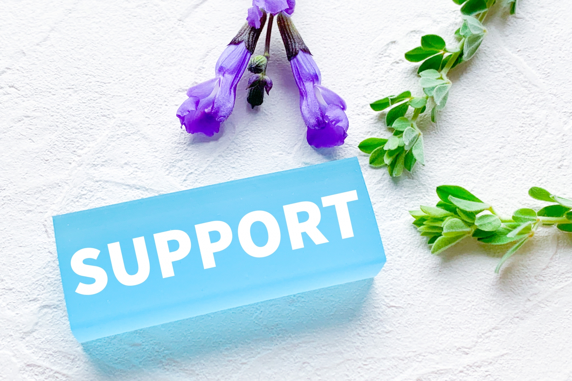 「SUPPORT」と書かれたブロックと植物