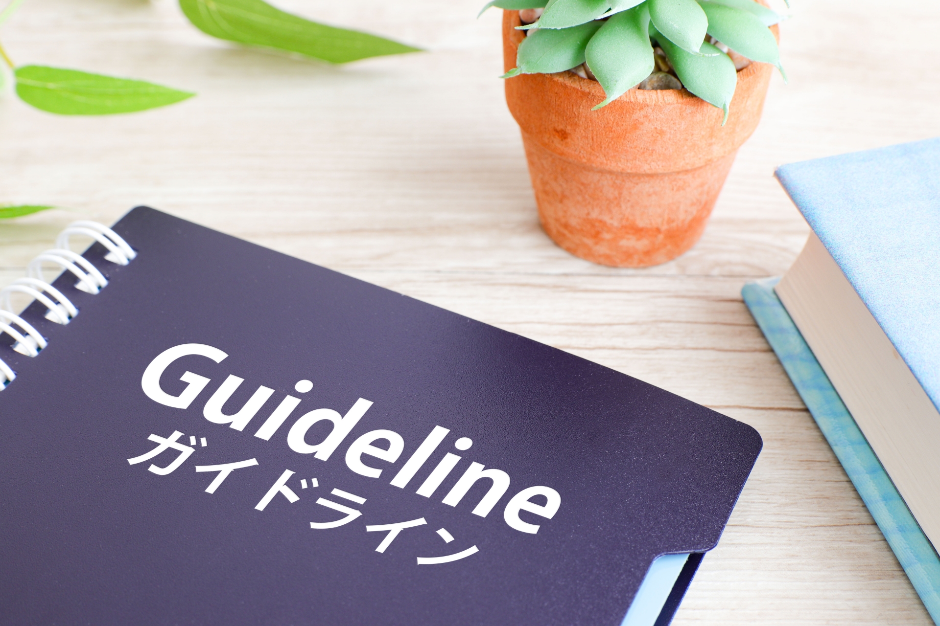 「Guideline」と書かれた青い冊子と植物