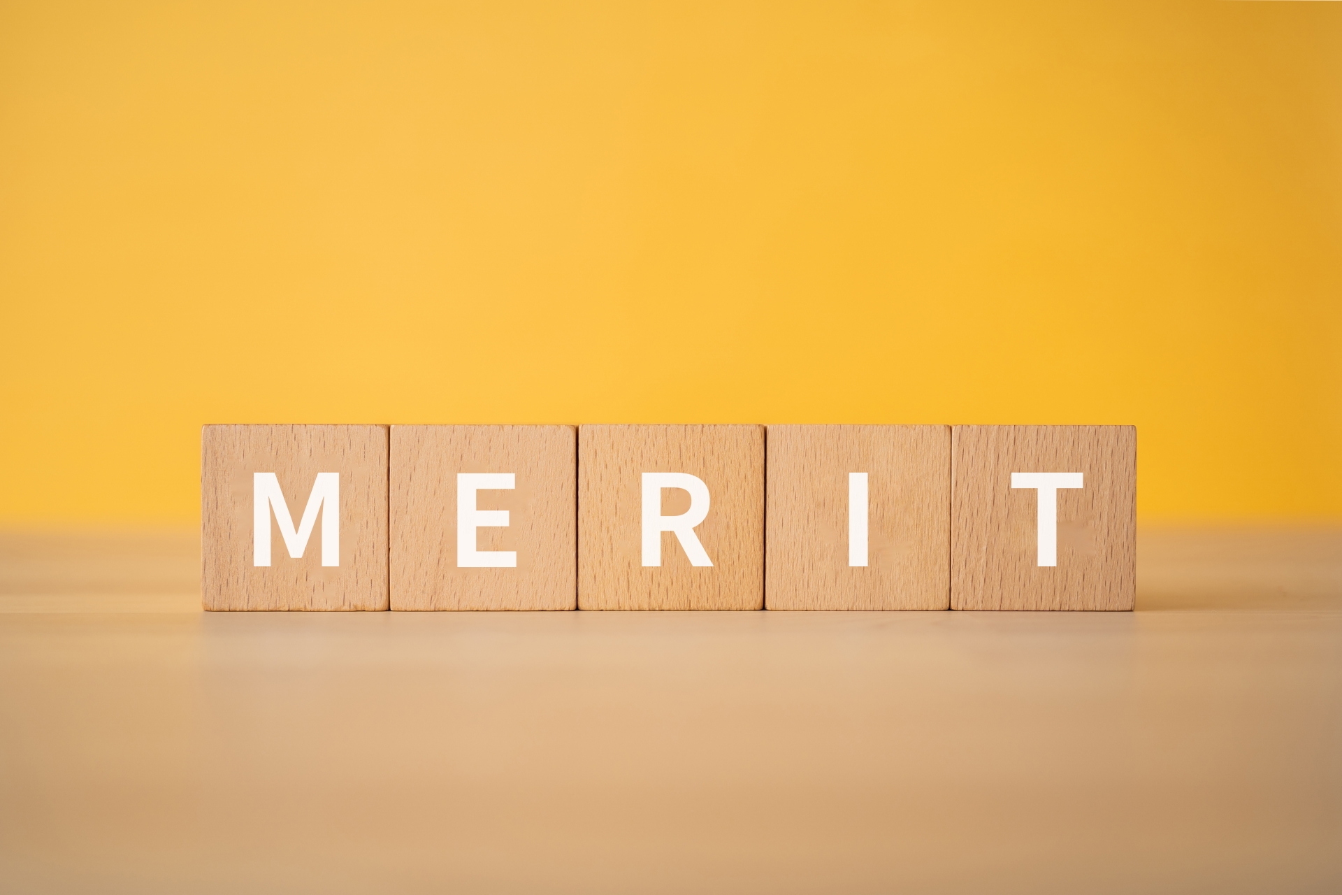 メリット（MERIT）と書かれた木製のブロック